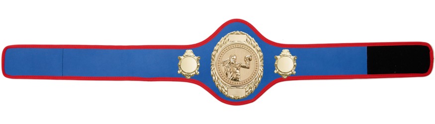 FEMALE BOXING CHAMPIONSHIP-PRO286/G/FEMBOXG-10+ COLOURS